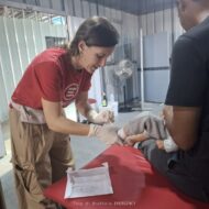 Kit primo soccorso a Gaza