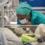 Un mese di formazione per una dottoressa in Uganda