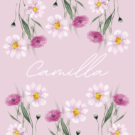 BATTESIMO DI CAMILLA